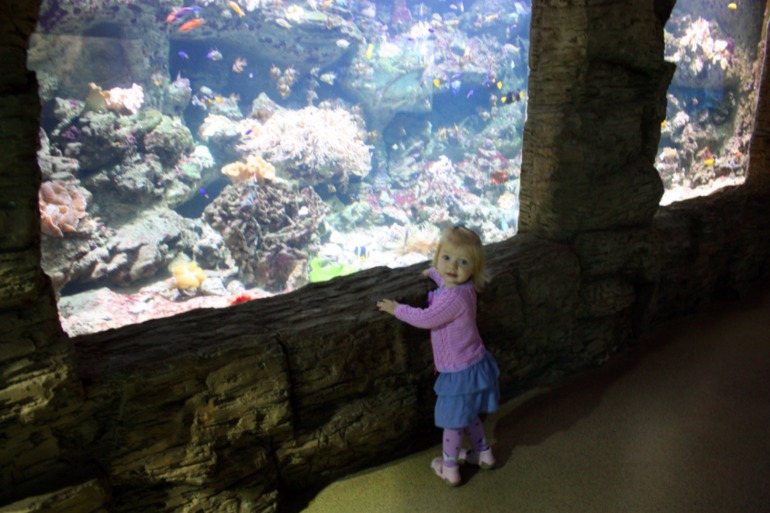 океанариум, трц рио