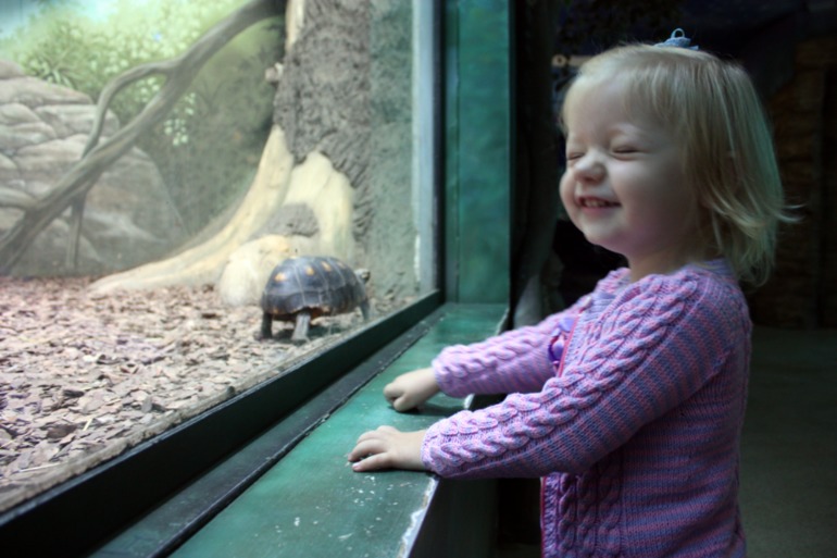 океанариум, трц рио