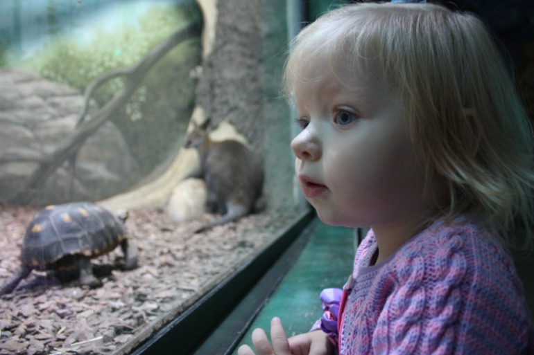 океанариум, трц рио