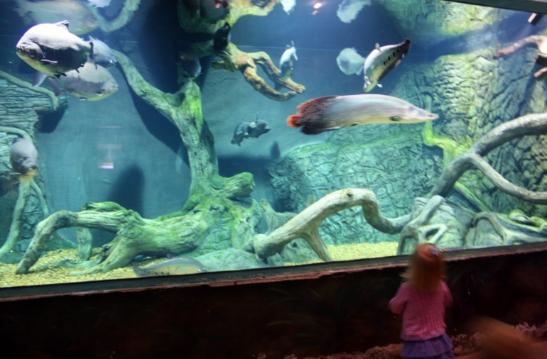 океанариум, трц рио