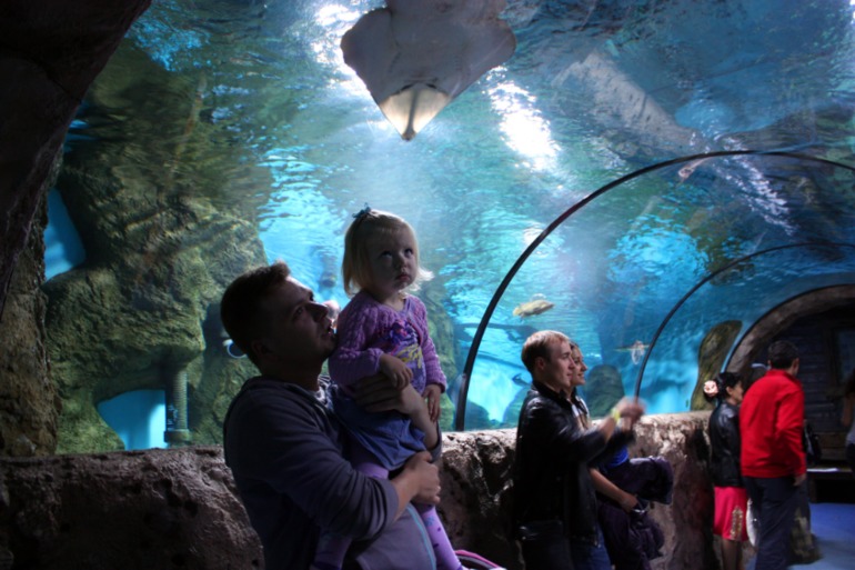 океанариум, трц рио