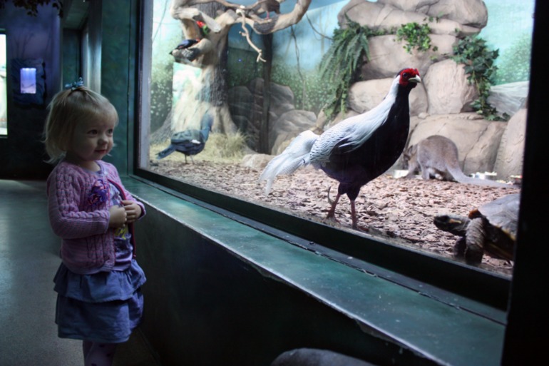 океанариум, трц рио