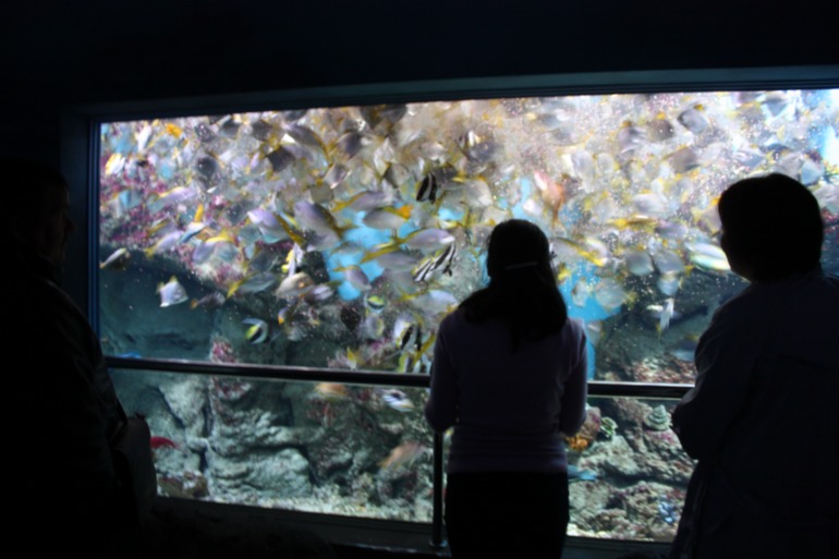 океанариум, трц рио