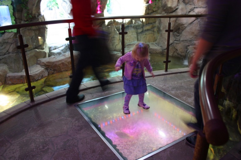 океанариум, трц рио