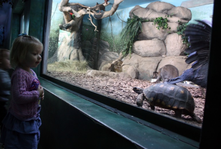 океанариум, трц рио