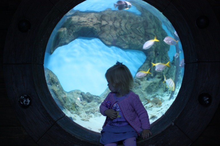 океанариум, трц рио