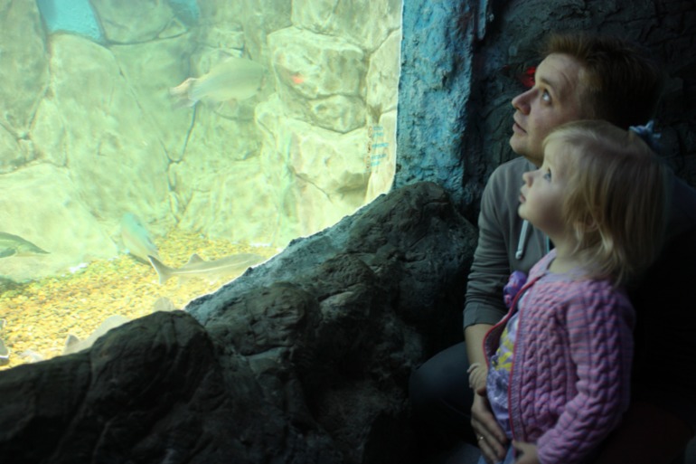 океанариум, трц рио