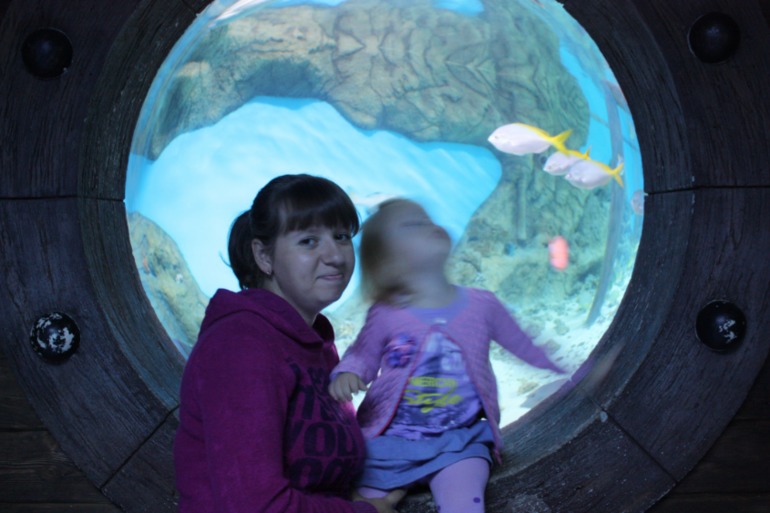 океанариум, трц рио