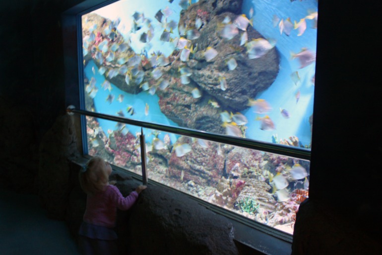 океанариум, трц рио