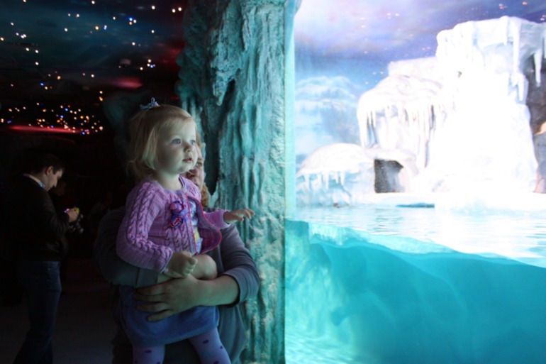 океанариум, трц рио