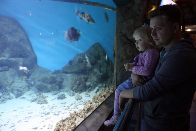 океанариум, трц рио