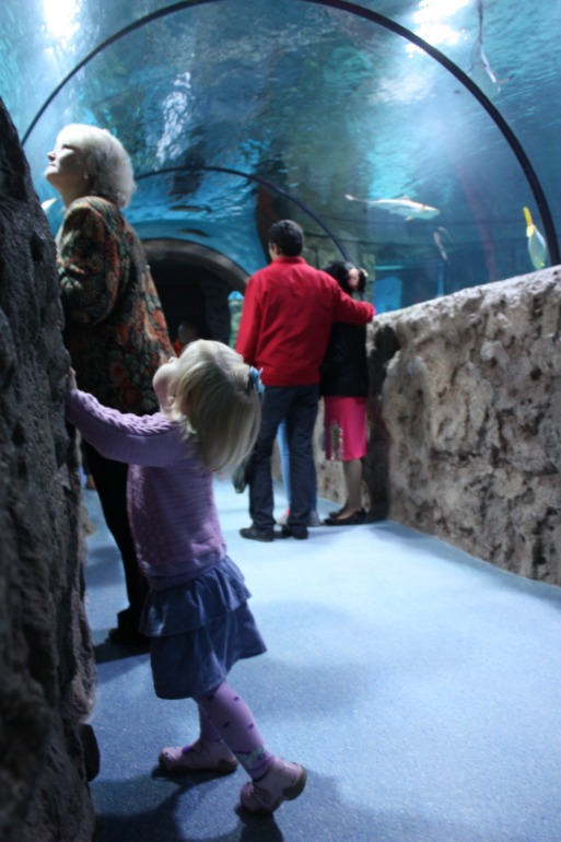 океанариум, трц рио