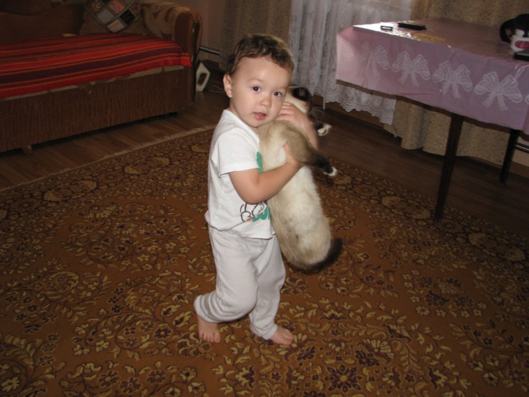 196b420cb292012e0215c0baf3ad4483.jpg