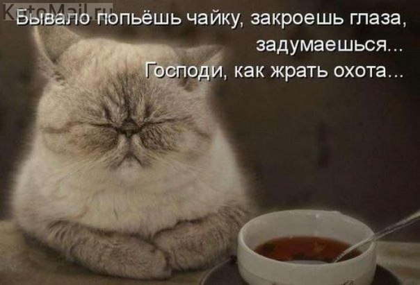 0345d1257c14de49d67949919d534cdb.jpg
