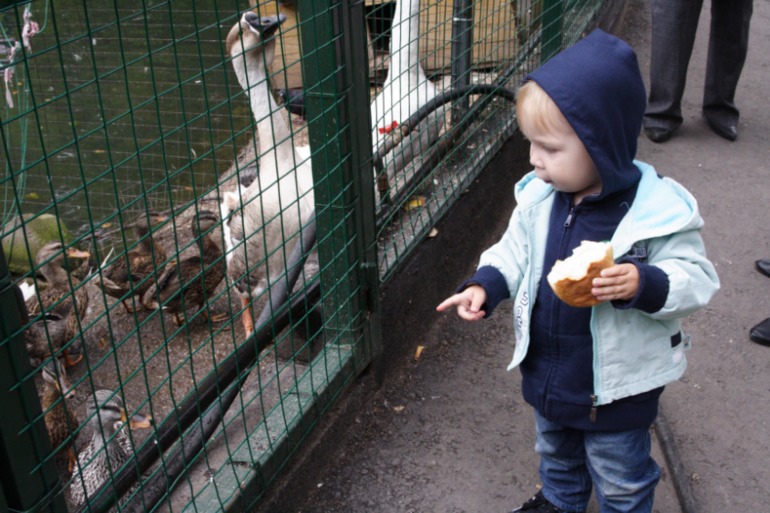 Всего понемножку