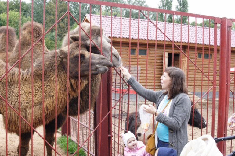 Всего понемножку