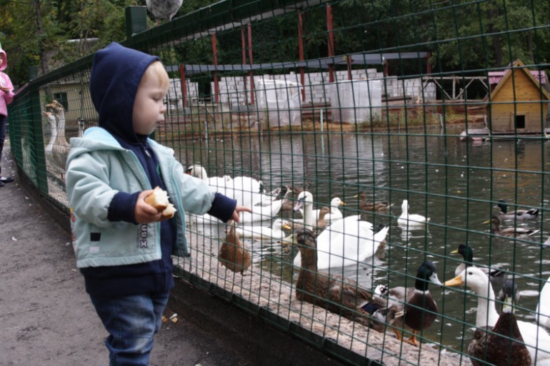 Всего понемножку