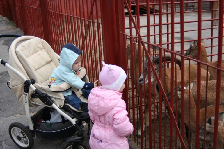 Всего понемножку