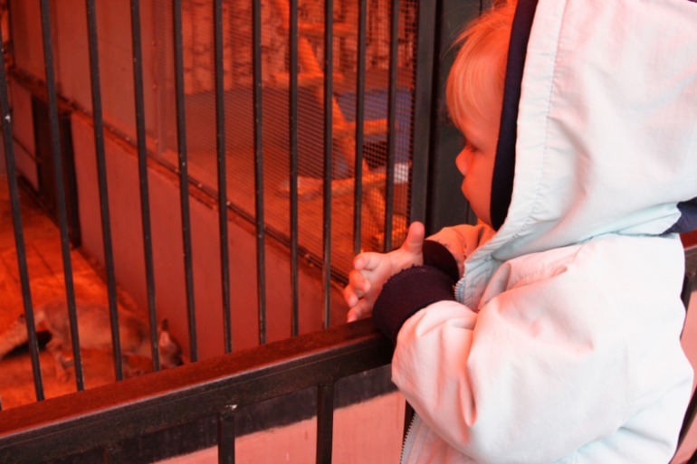 Всего понемножку