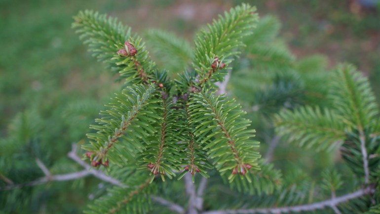 Псебай-Архыз 14-15 сентября 2013 года.