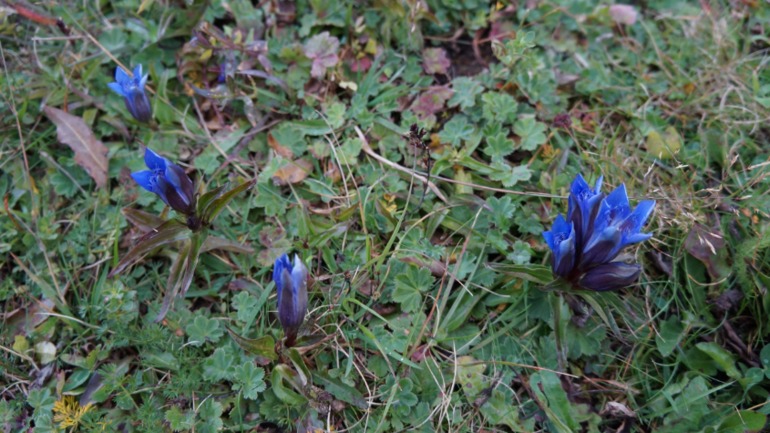 Псебай-Архыз 14-15 сентября 2013 года.