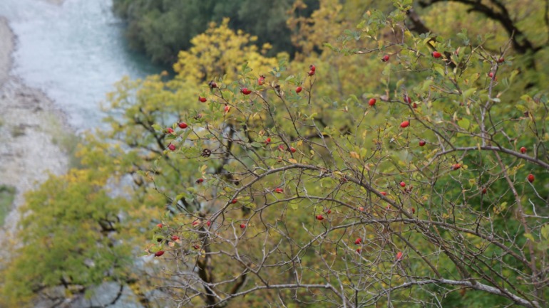 Псебай-Архыз 14-15 сентября 2013 года.