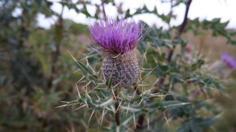 Псебай-Архыз 14-15 сентября 2013 года.