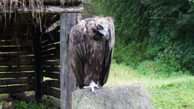 Псебай-Архыз 14-15 сентября 2013 года.