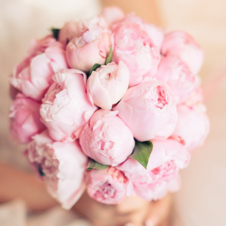 8d22a6befbcf1f75f8ce69d523dbfb0c.jpg