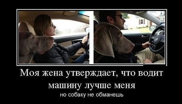 e584b4d927b8eca73c416a12ec5748a7.jpg