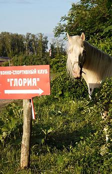 Первое занятие в конюшне