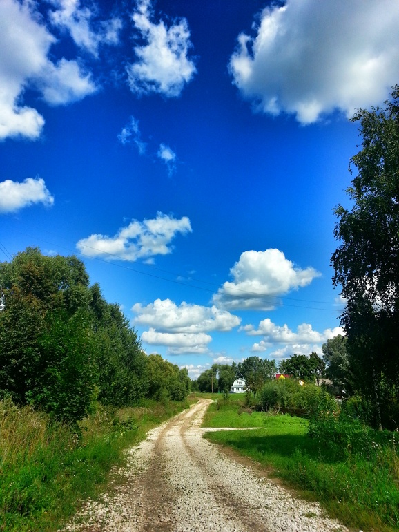 d390ed5989ae134bb269a4da4f7b7ef2.jpg