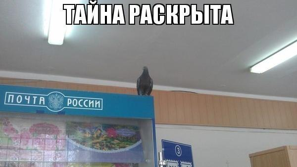 ......................