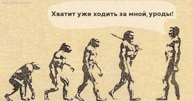 0429da4e858b2b0a2954002bb5d41549.jpg