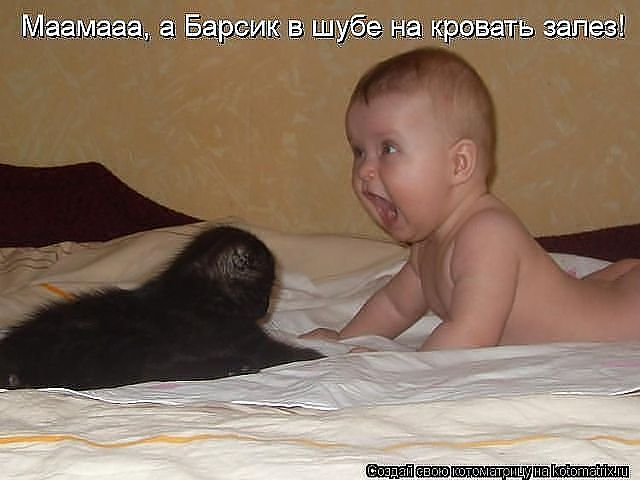 ca0a51b42d0355fb24a8c15109aa7133.jpg