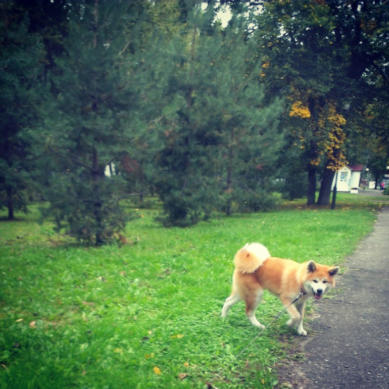 Надо и про нас что ли написать)))