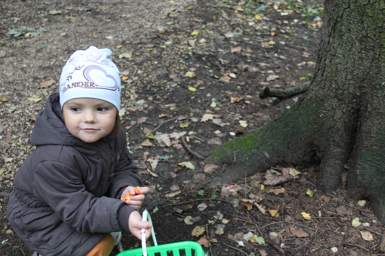 Осень и наше настроение )