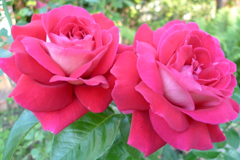 151bae9ab387334e59824bcb56d0b785.jpg