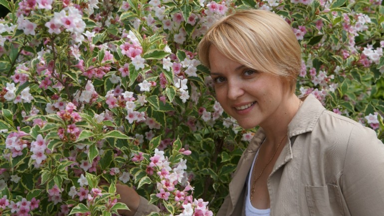 Приветствие!