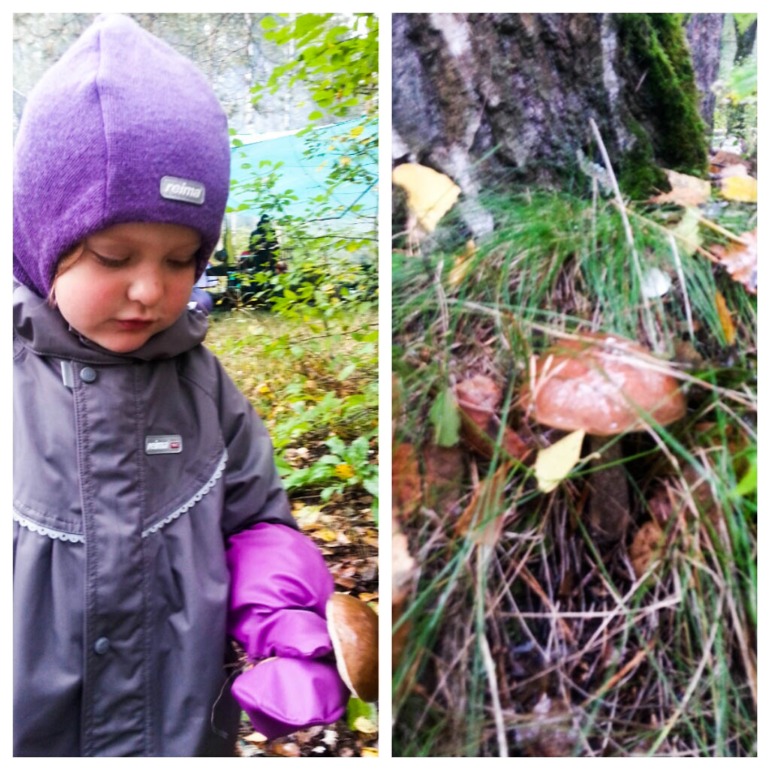 Осенний слет в дождливый день