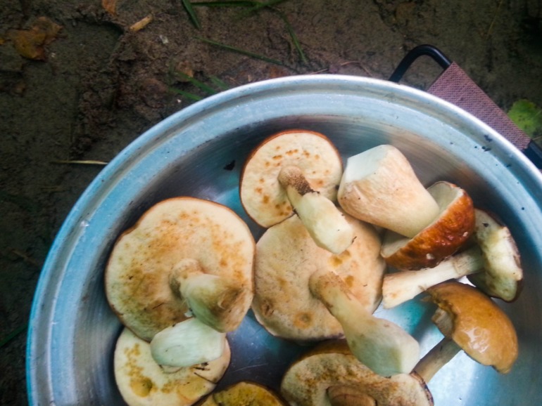 Осенний слет в дождливый день