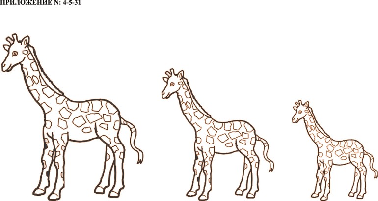760f91de12b45c58081a066f1643e89f.jpg