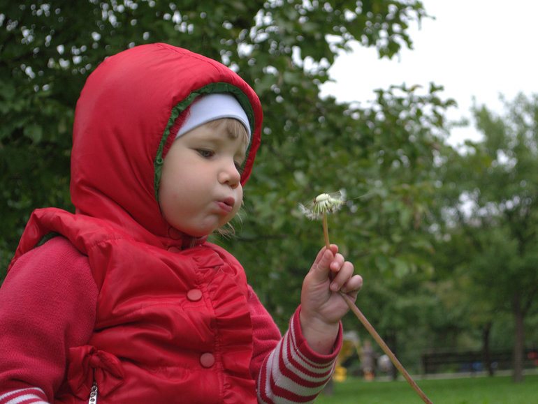 Садик-садик