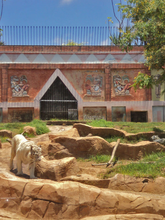 Тенерифе 2013. Джангл-парк.