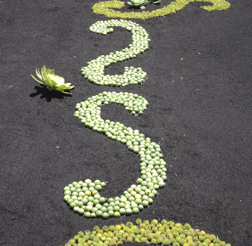 Тенерифе 2013. Ла Лагуна.