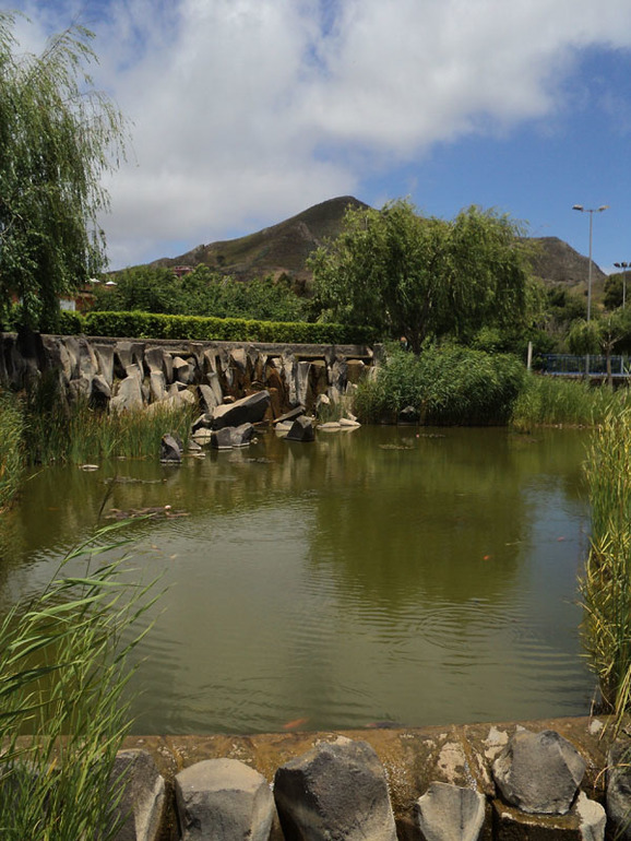 Тенерифе 2013. Ла Лагуна.