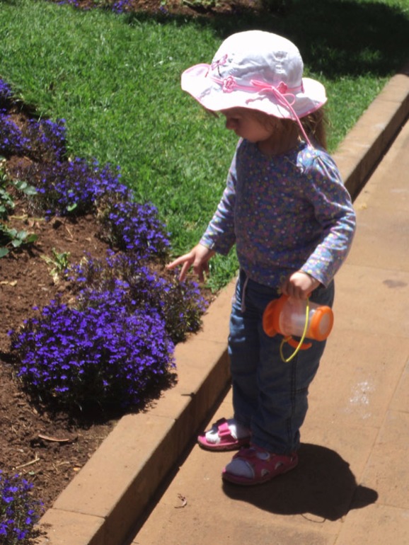 Тенерифе 2013. Ла Лагуна.