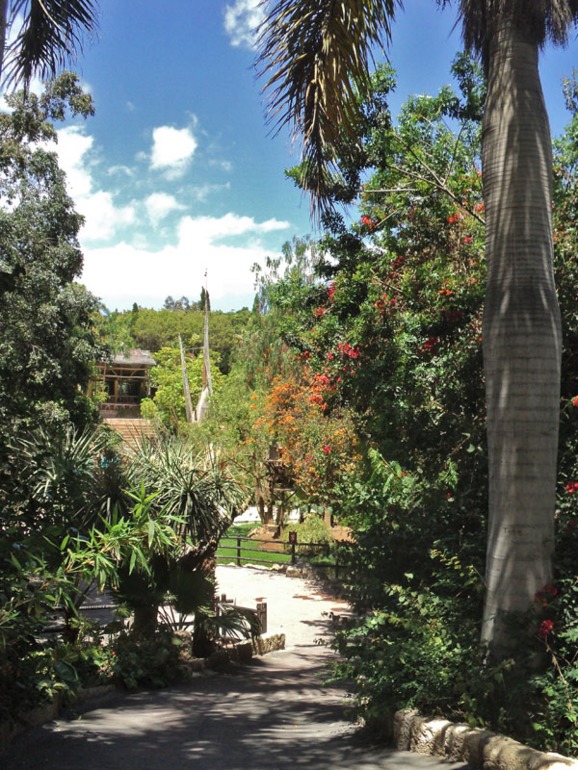 Тенерифе 2013. Джангл-парк.