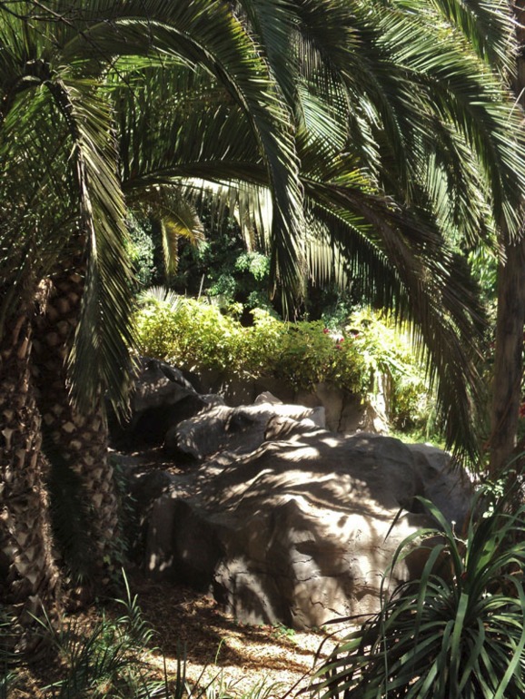 Тенерифе 2013. Джангл-парк.