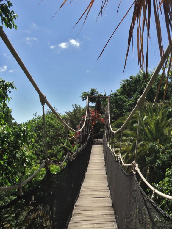 Тенерифе 2013. Джангл-парк.